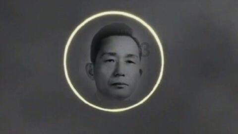 探索狮子是群居生活还是独居生活,发现无限乐趣!